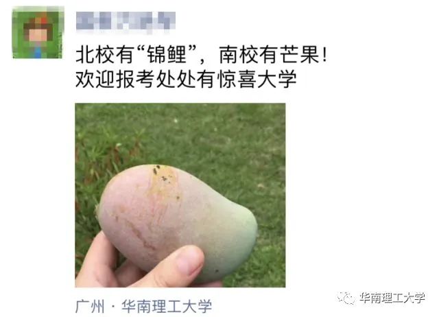 微信图片_20230629094626.jpg